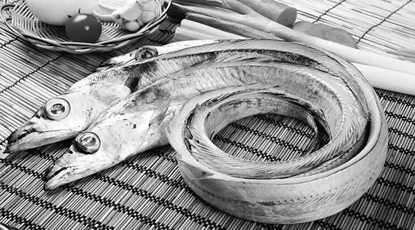 甲醛帶魚(yú)流入市場(chǎng) 甲醛帶魚(yú)流入市場(chǎng)