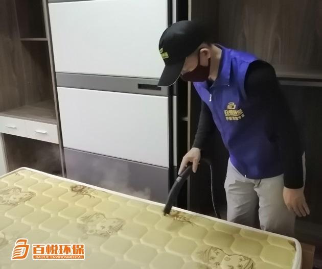 室內除甲醛植物百悅環保室內除甲醛公司 室內除甲醛植物百悅環保室內除甲醛公司